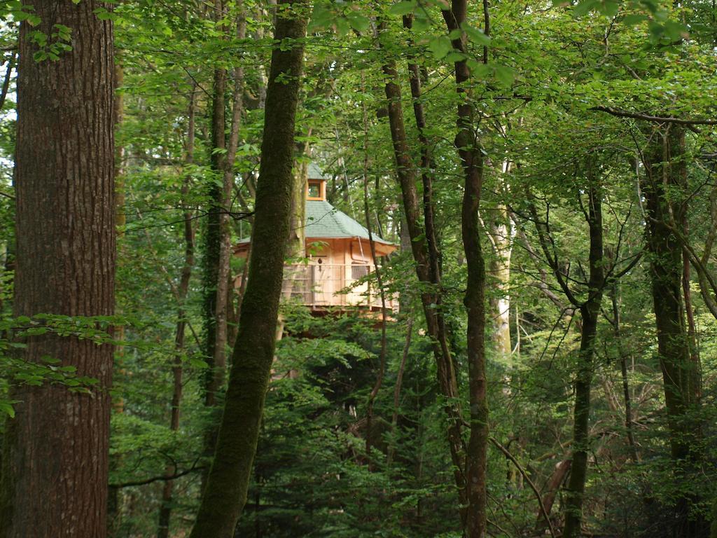 Les Cabanes De Kermenguy Cleder Room photo